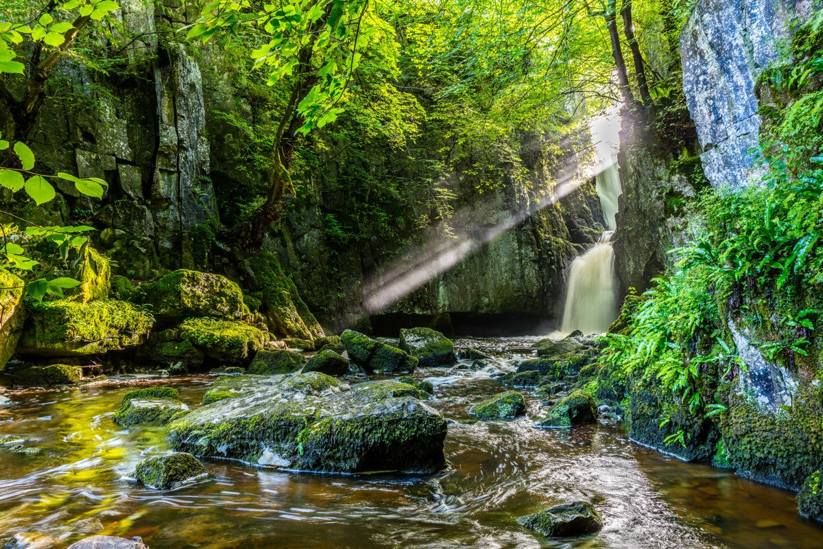 Catrigg Foss