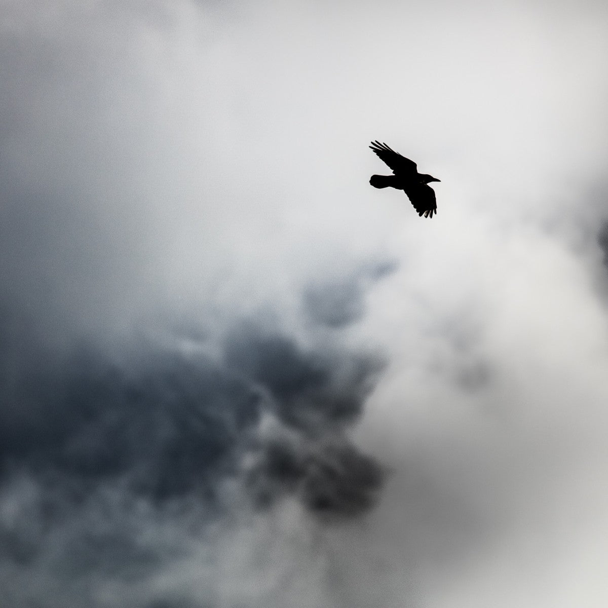 Storm Raven 2