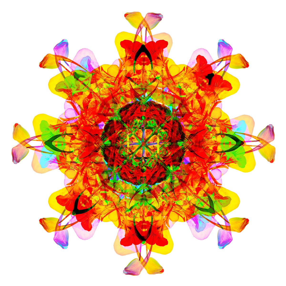 Creative Nurturing