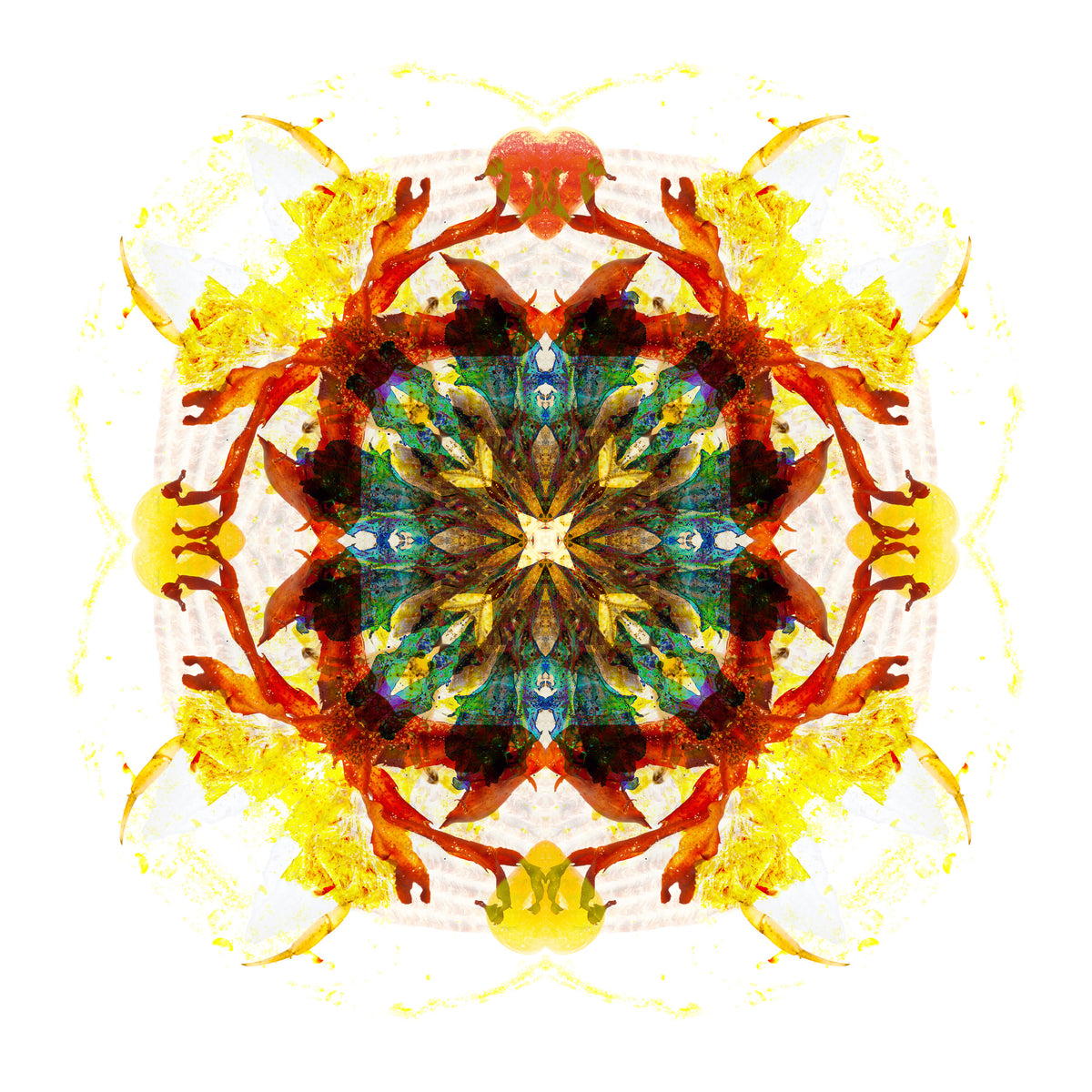 Earth Healing