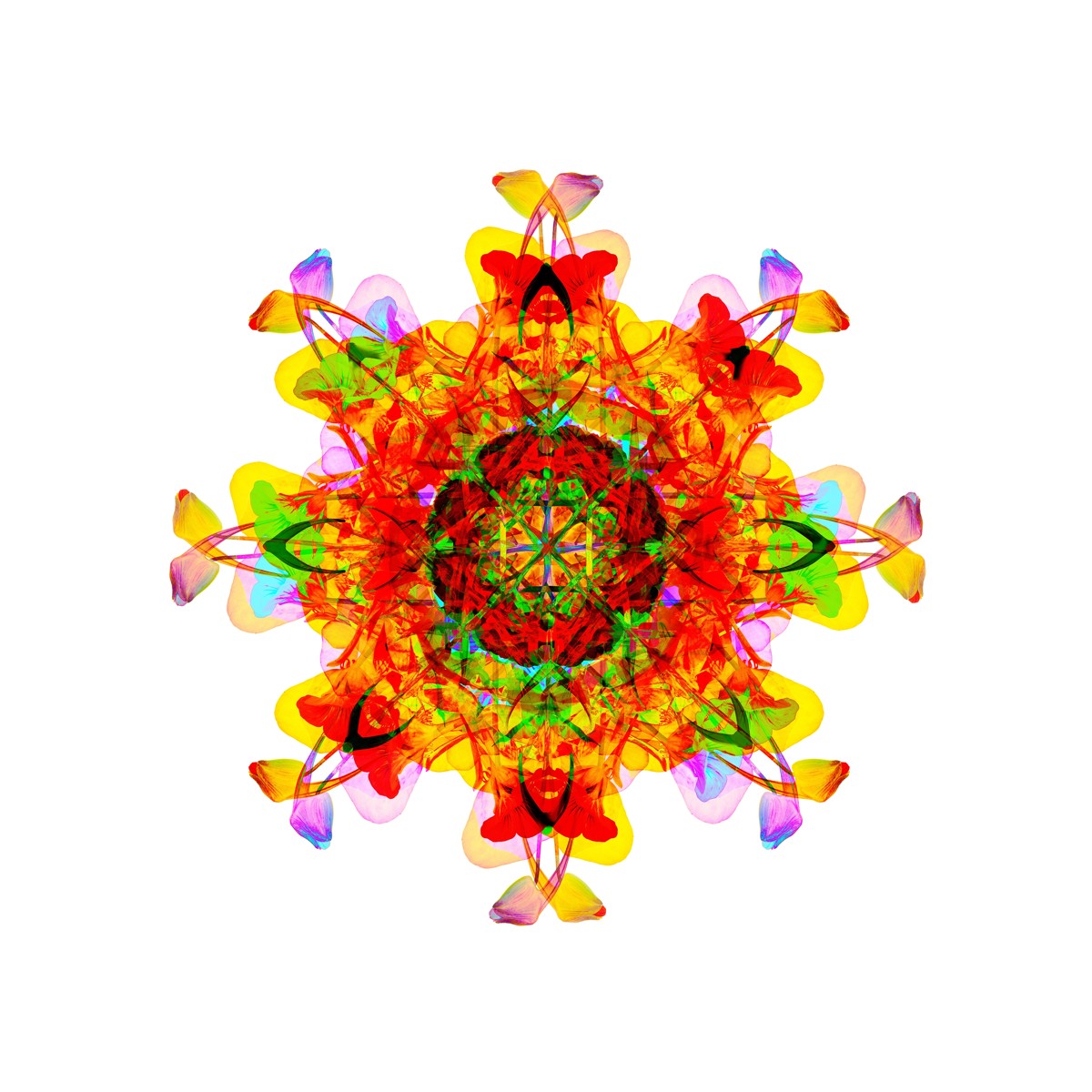 Creative Nurturing Mandala