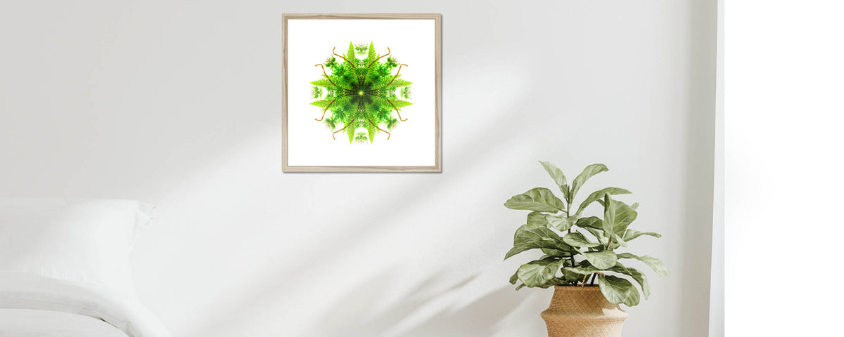 Antique Framed Print