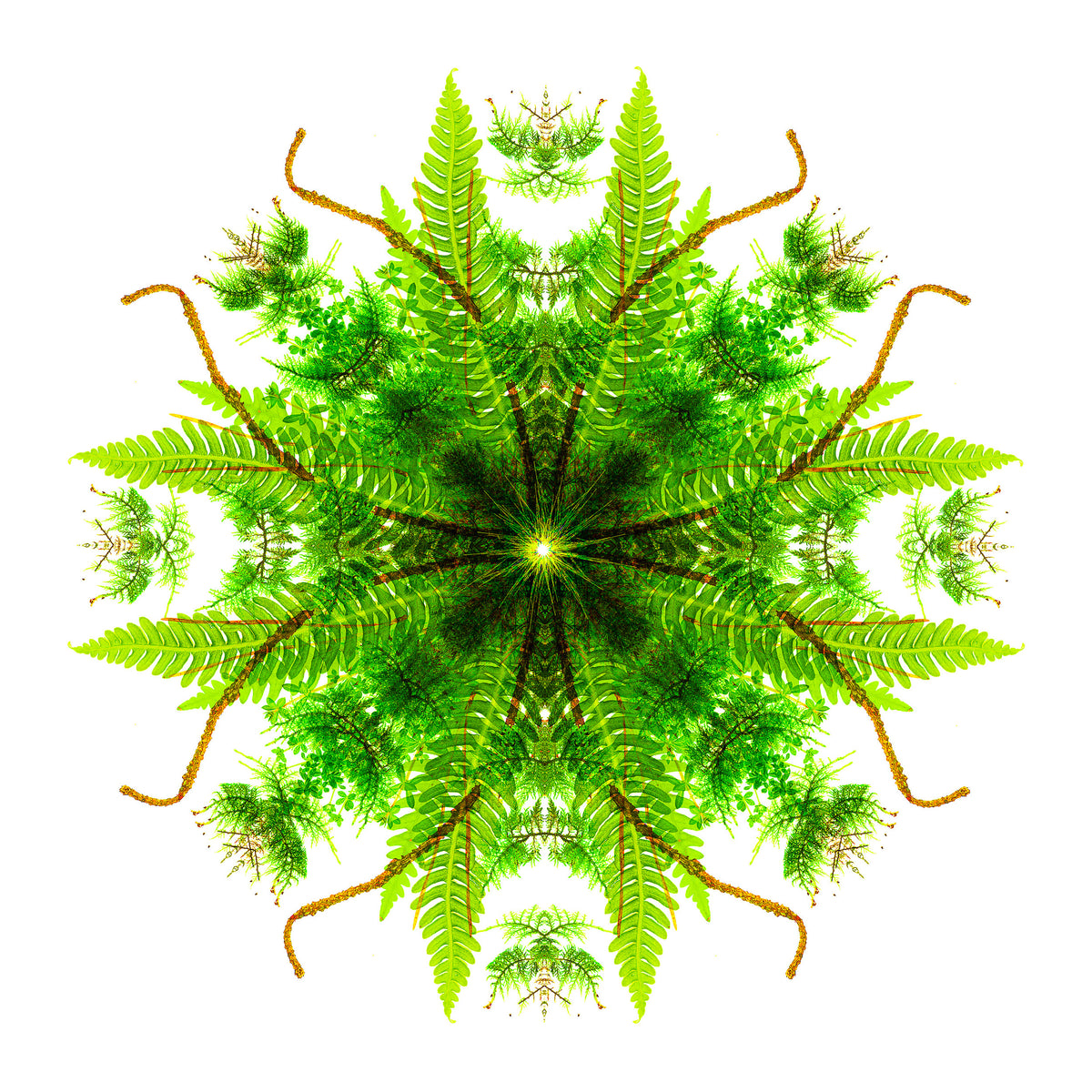 Heart of Nature