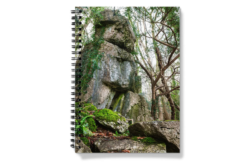 Woodwell notebooks