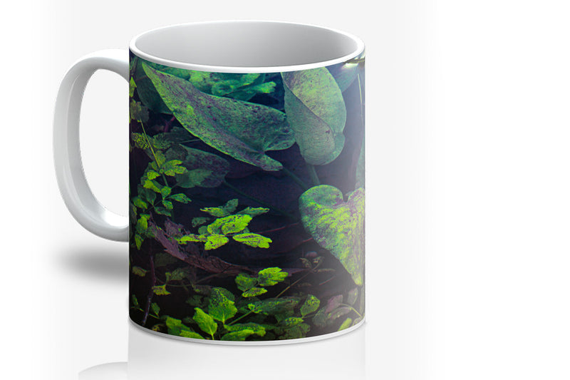 Woodwell mugs