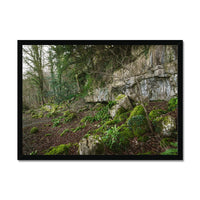 Woodwell Secrets Framed Print