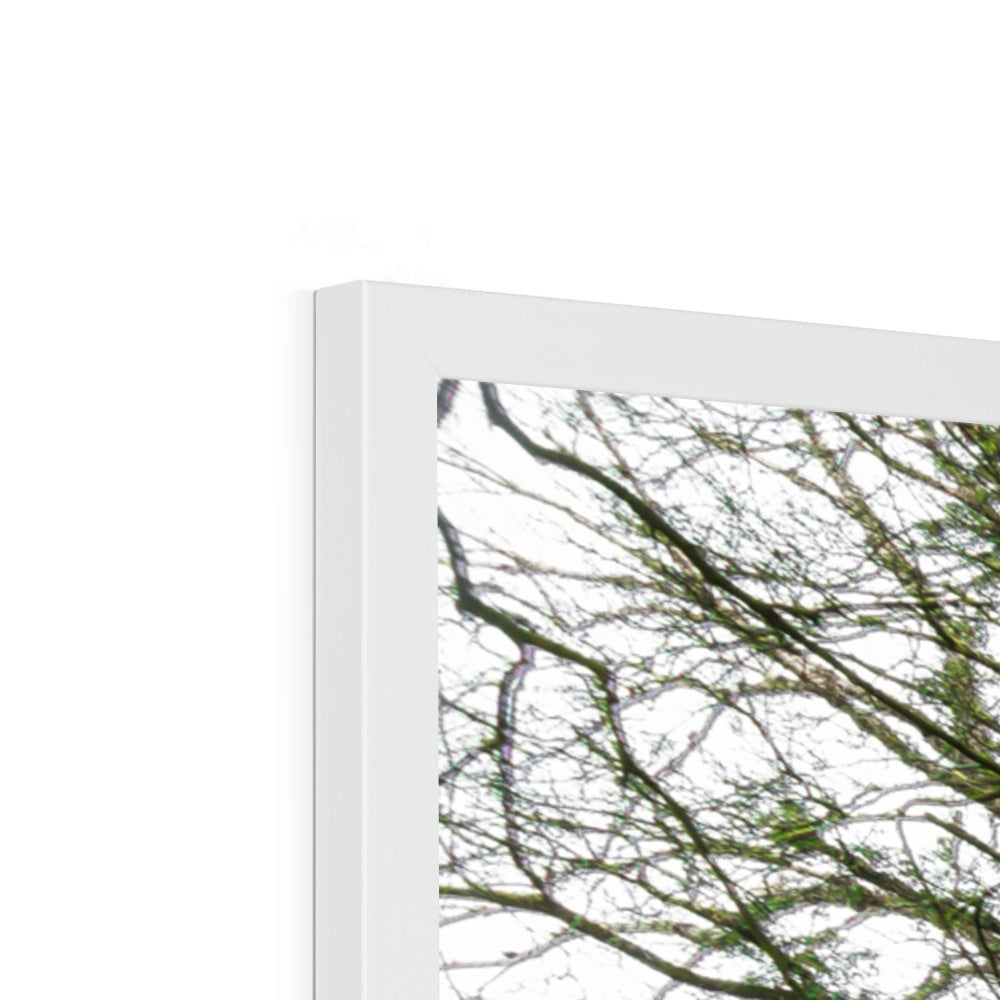 Woodwell Secrets Framed Print
