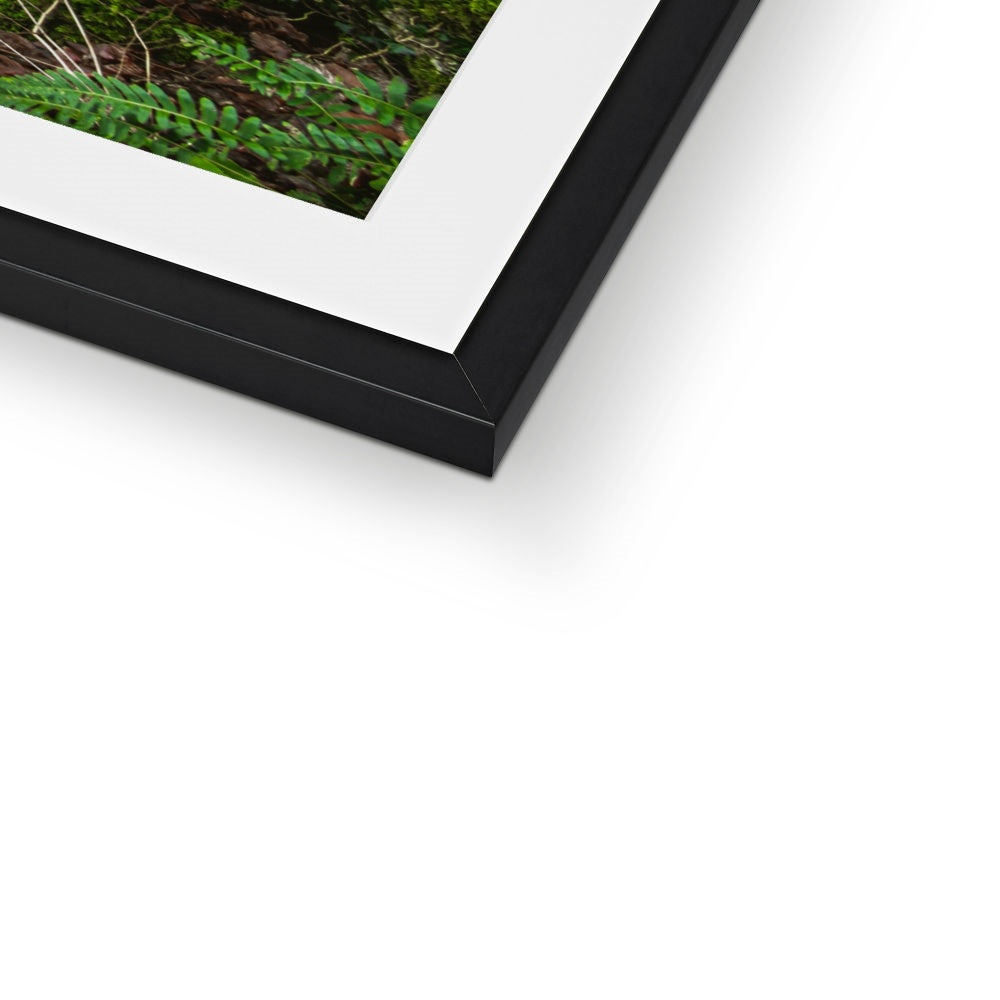 Woodwell Secrets Framed & Mounted Print