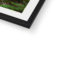 Woodwell Secrets Framed & Mounted Print