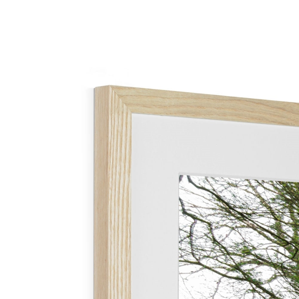 Woodwell Secrets Framed & Mounted Print
