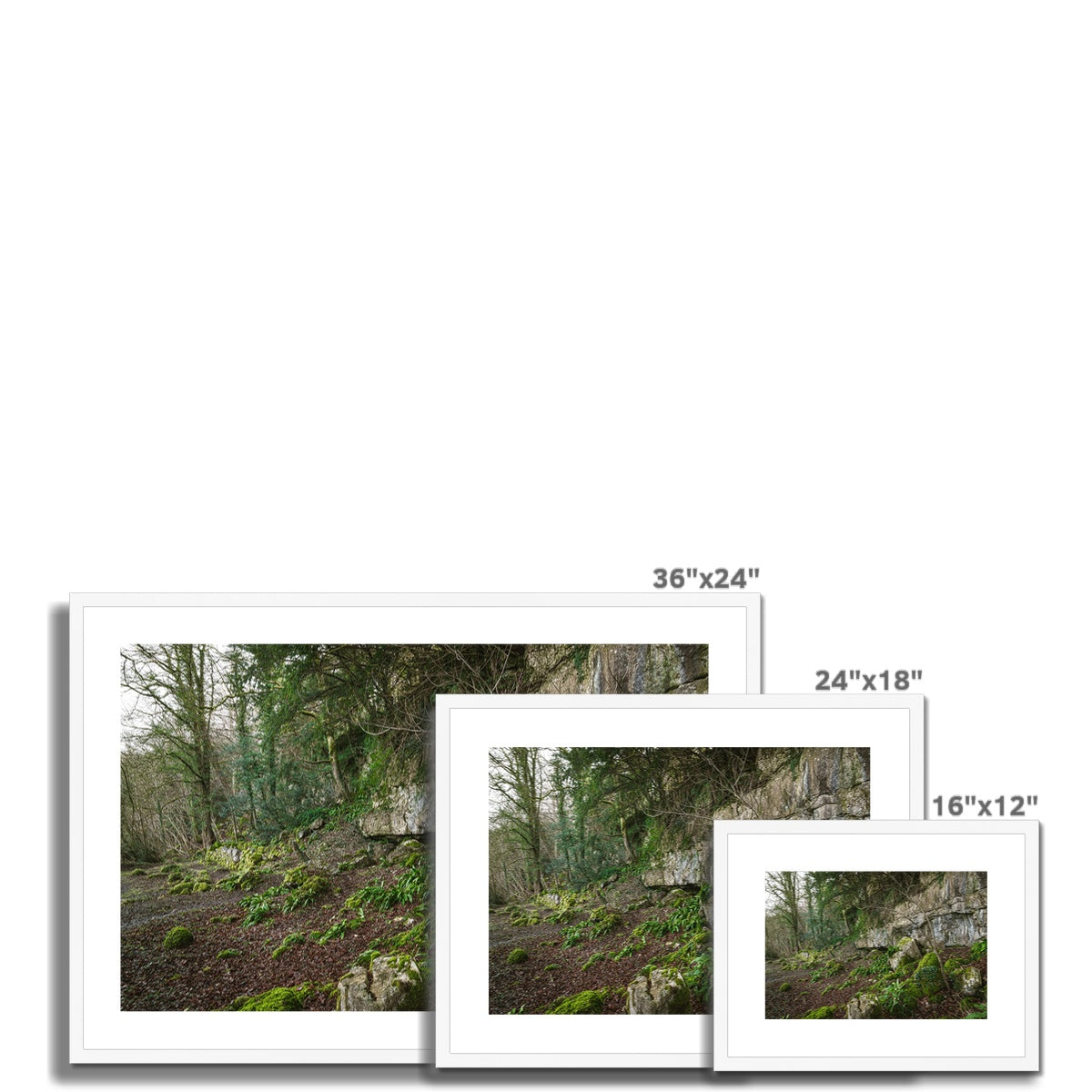 Woodwell Secrets Framed & Mounted Print