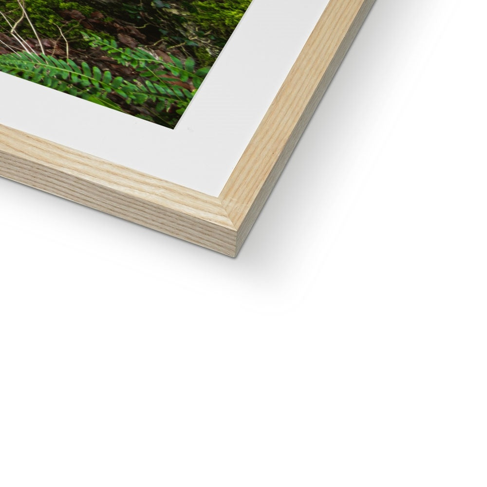Woodwell Secrets Framed & Mounted Print