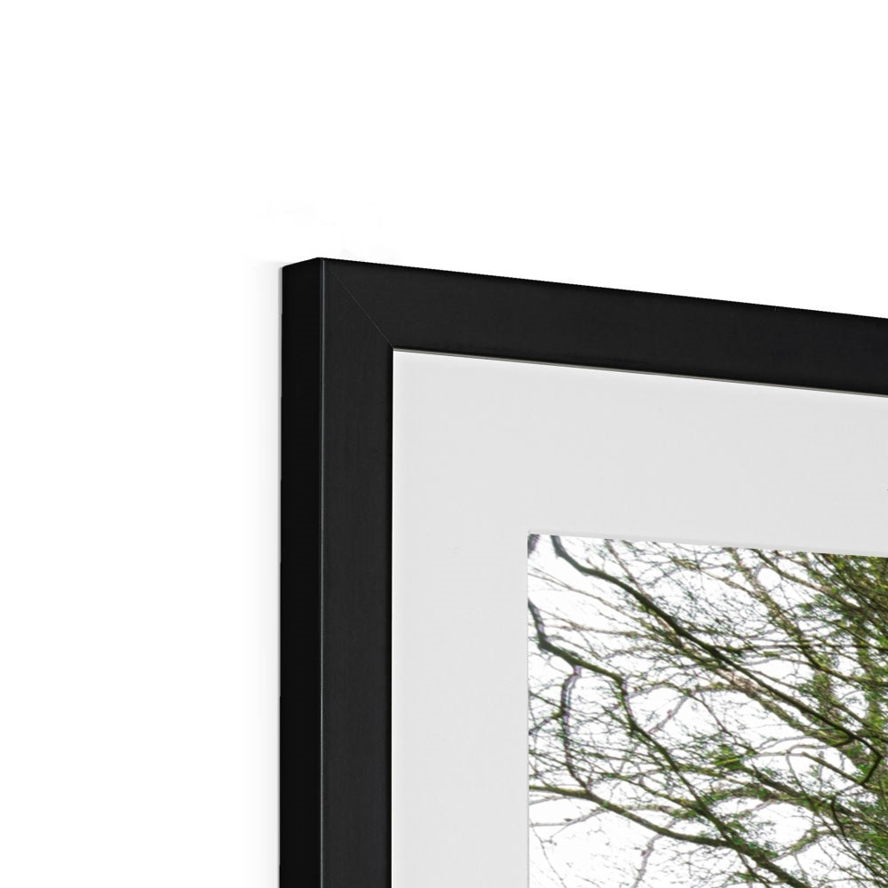 Woodwell Secrets Framed & Mounted Print