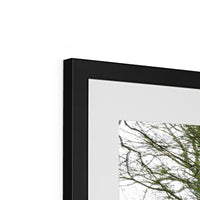 Woodwell Secrets Framed & Mounted Print