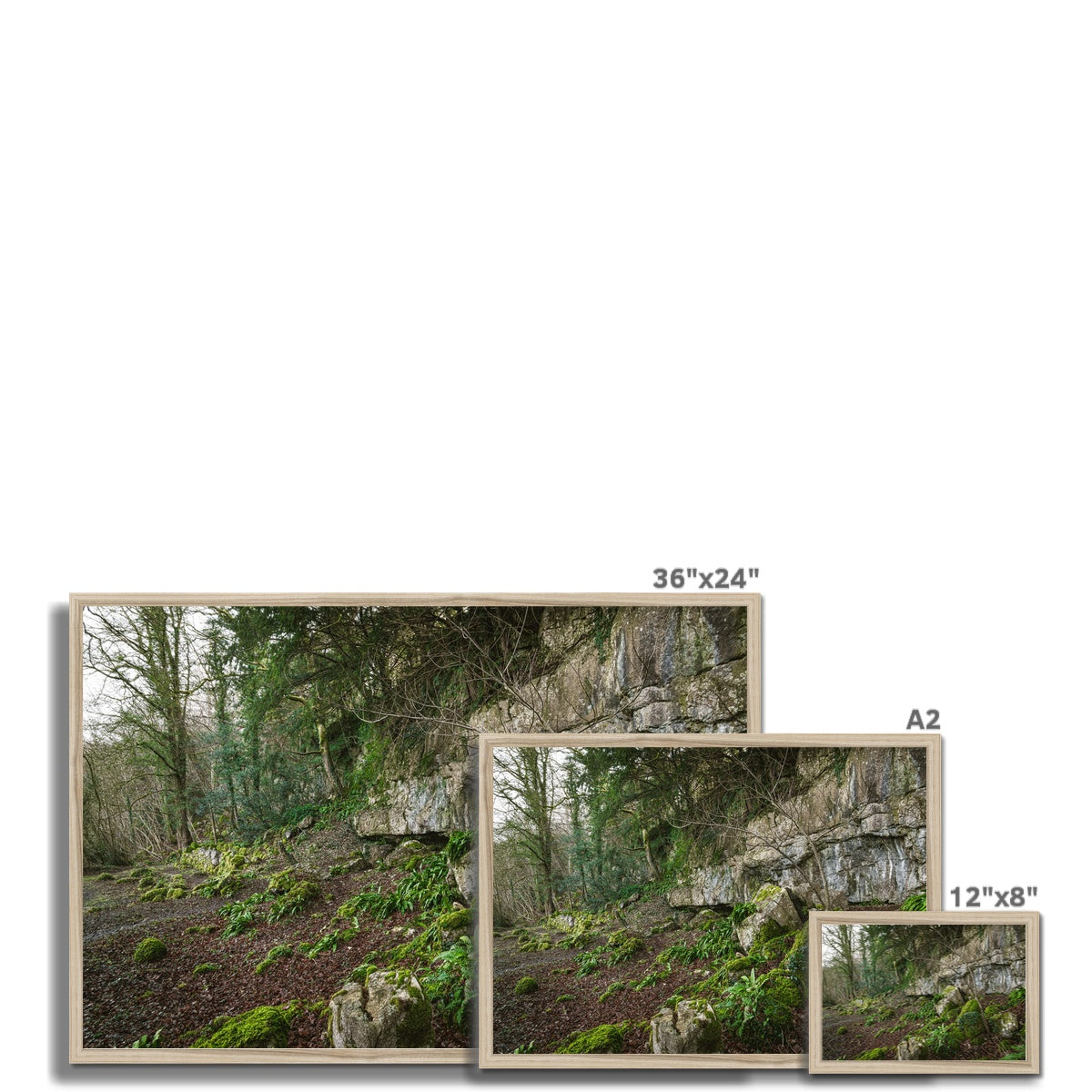 Woodwell Secrets Framed Print