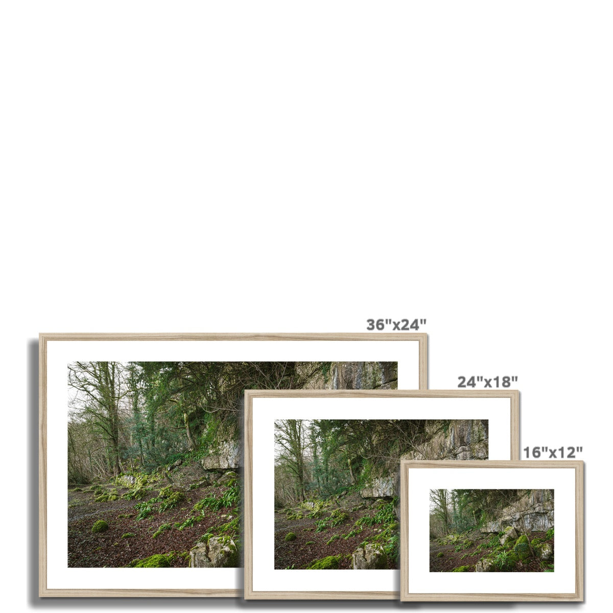 Woodwell Secrets Framed & Mounted Print