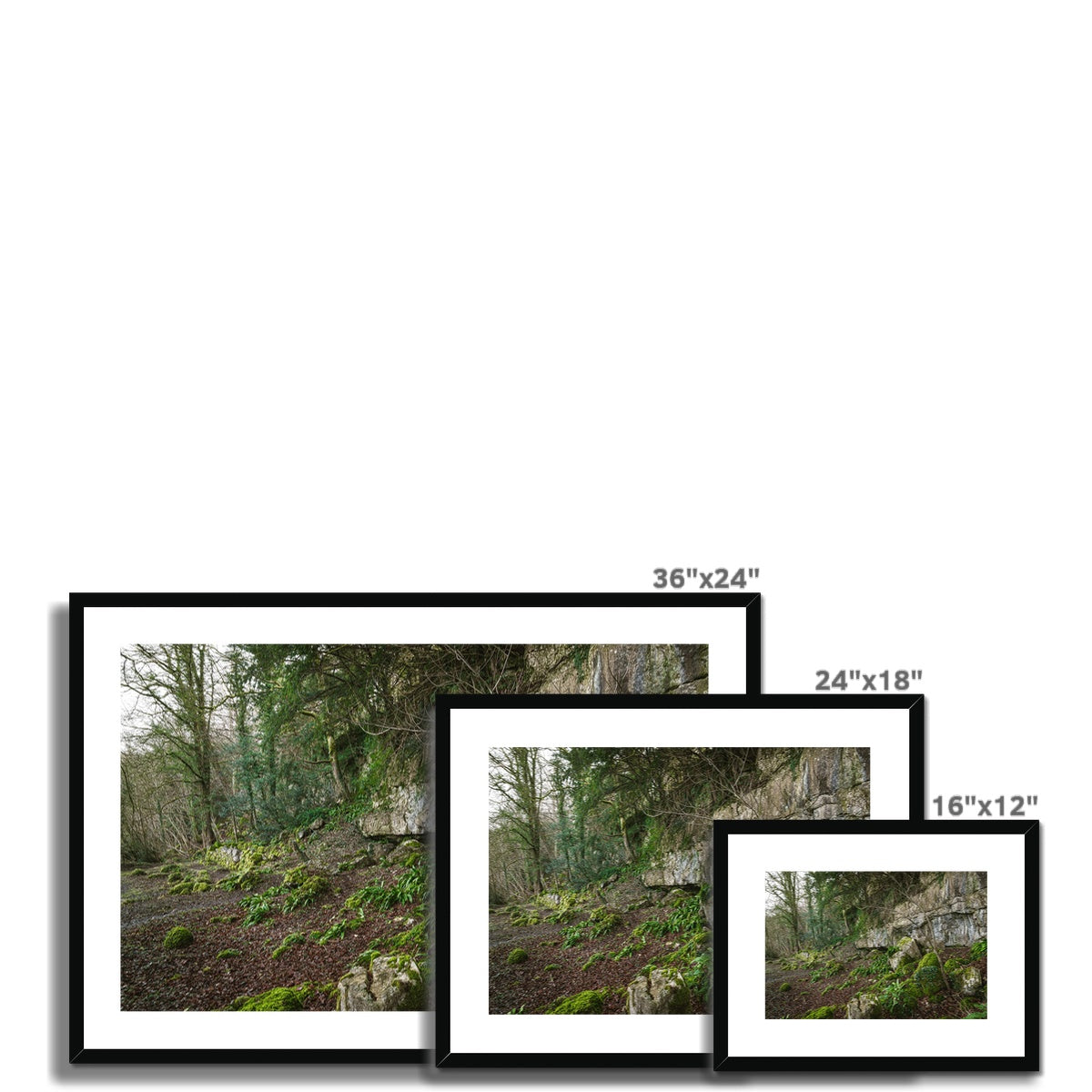 Woodwell Secrets Framed & Mounted Print