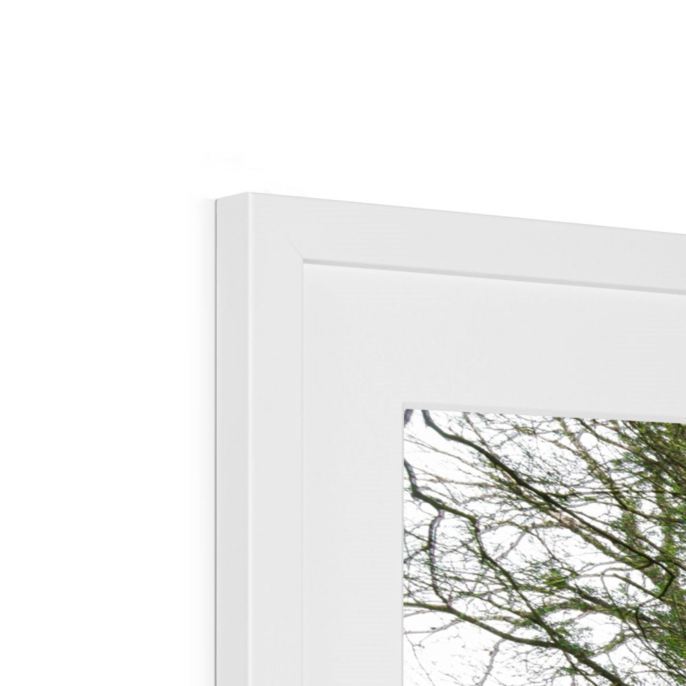 Woodwell Secrets Framed & Mounted Print
