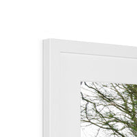 Woodwell Secrets Framed & Mounted Print