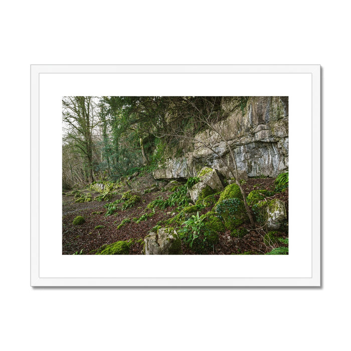 Woodwell Secrets Framed & Mounted Print