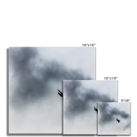 Storm Raven 3 Photo Art Print