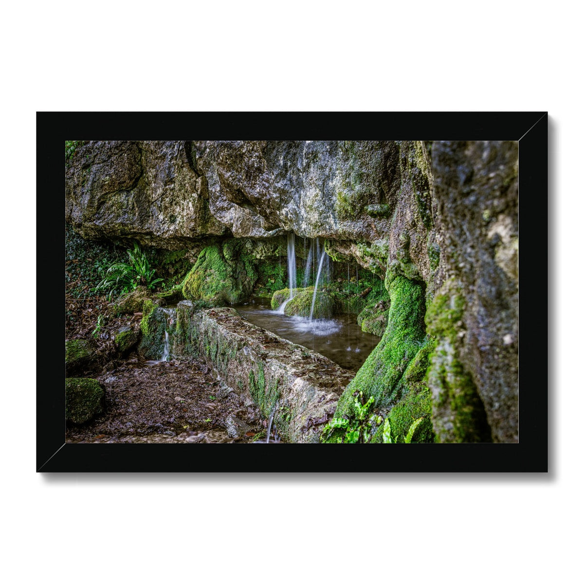 Woodwell basin Framed Print