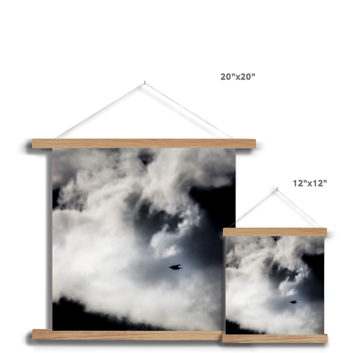 Storm Raven 1 Fine Art Print with Hanger