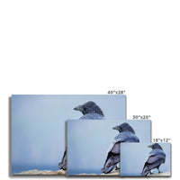 The Raven of Ireland Canvas
