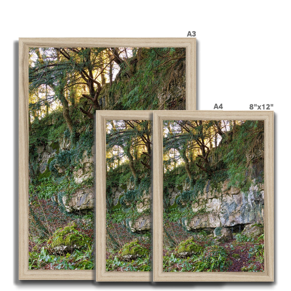 Woodwell Mystery Framed Print