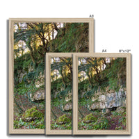 Woodwell Mystery Framed Print
