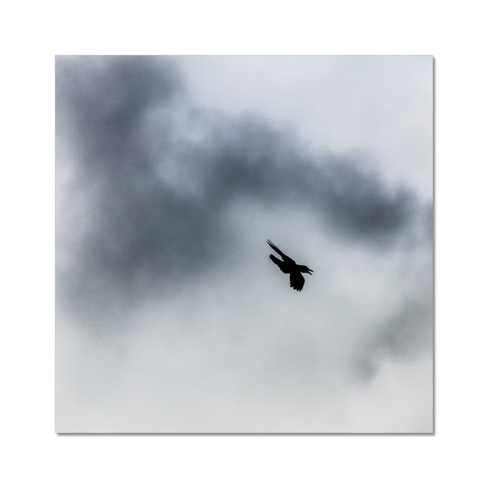 Storm Raven 3 Wall Art Poster