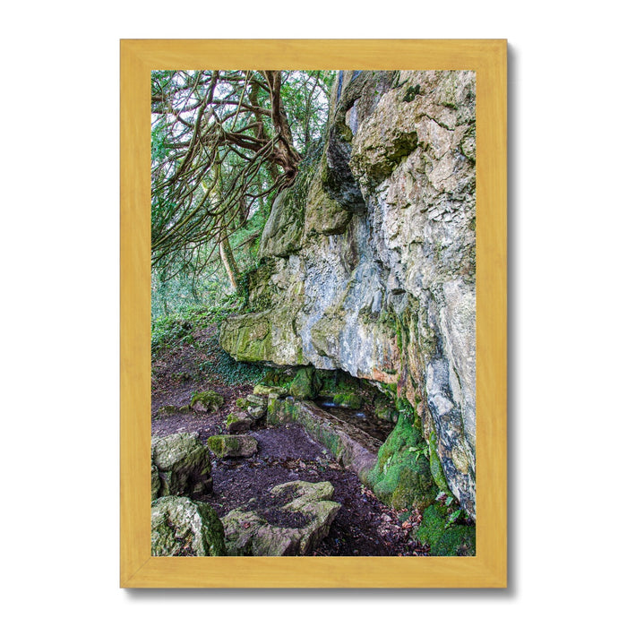 Yew guardian Antique Framed Print
