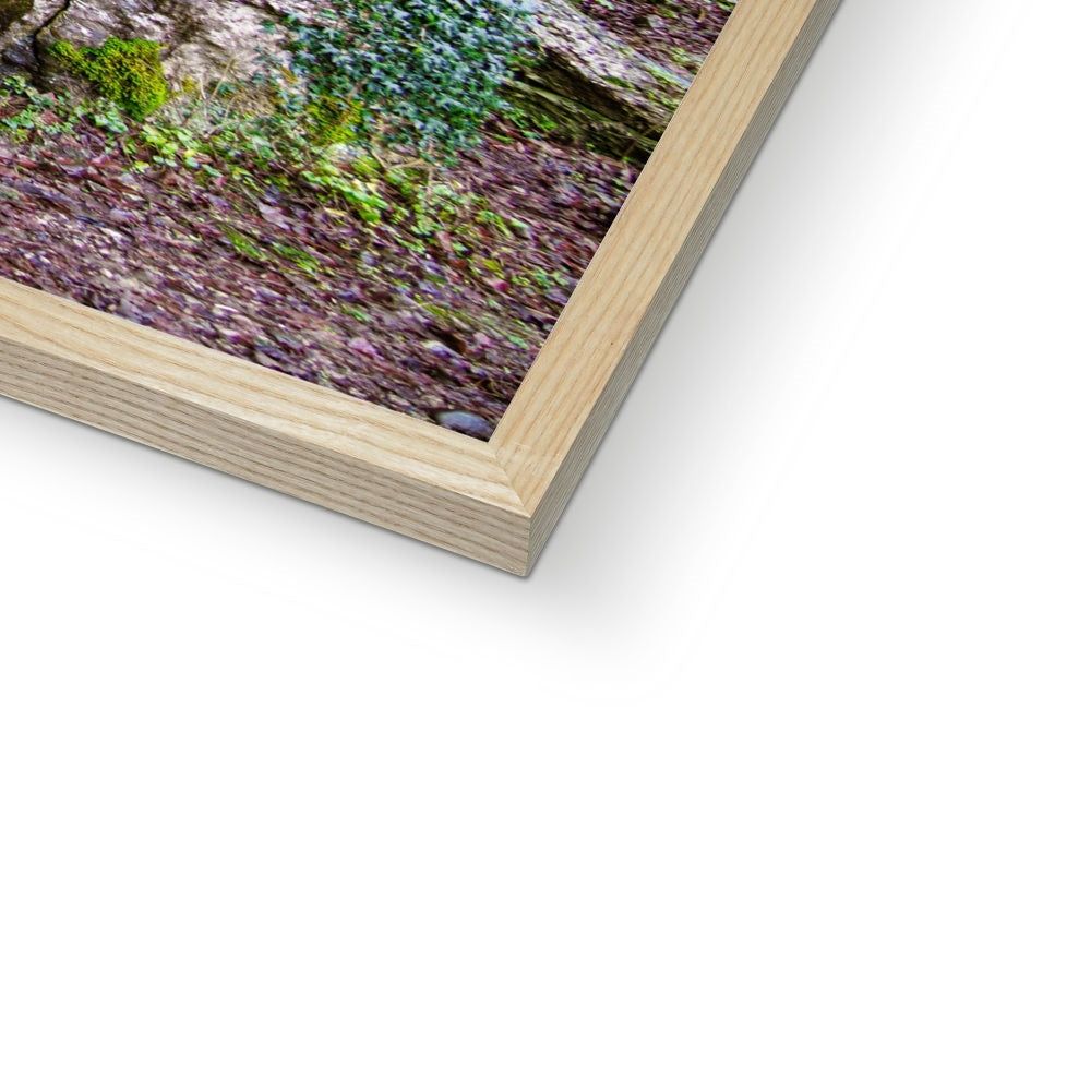 Woodwell Dawn Framed Print