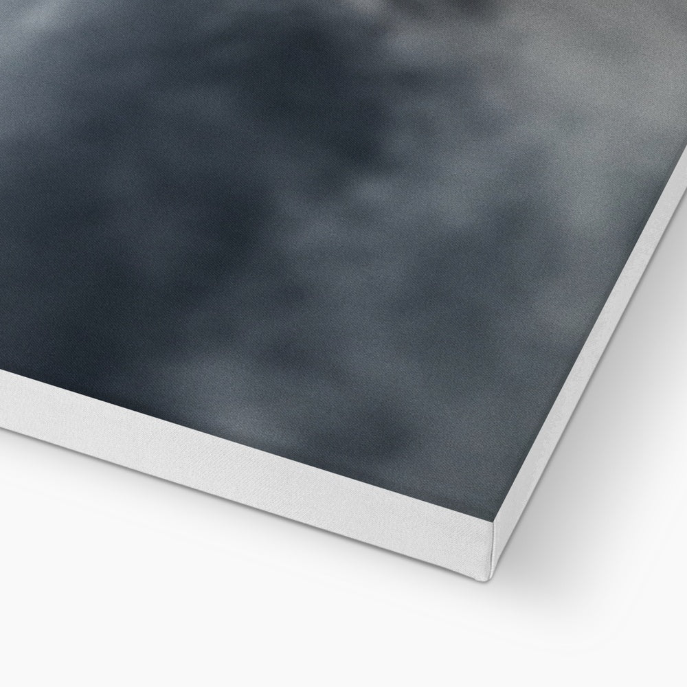 Storm Raven 2 Canvas