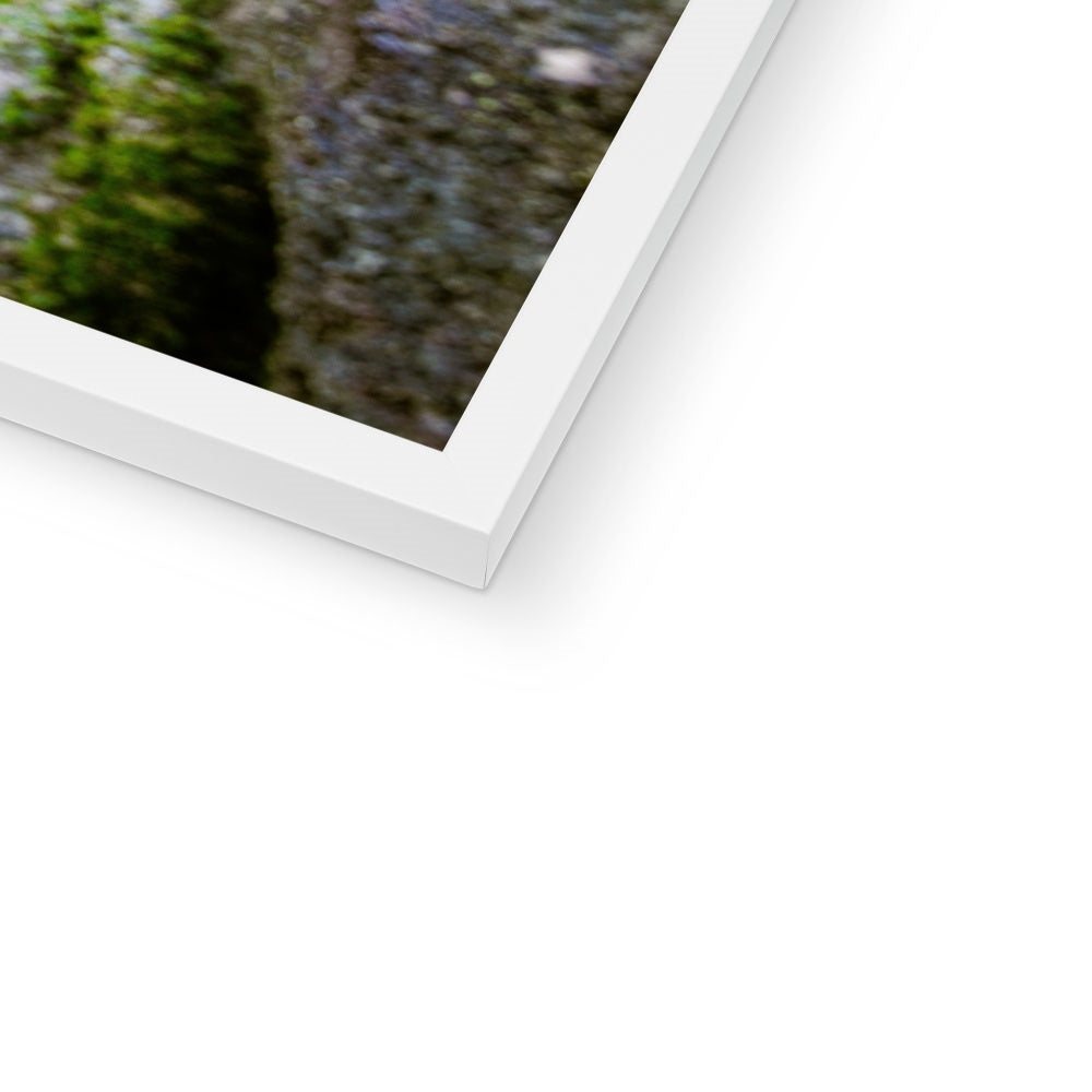 Woodwell basin Framed Print