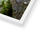 Woodwell basin Framed Print