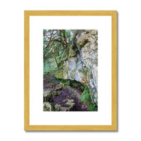 Yew guardian Antique Framed & Mounted Print