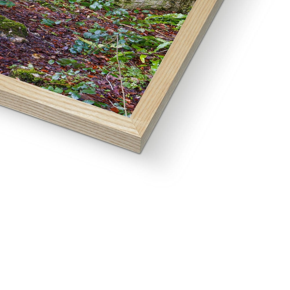 Woodwell Mystery Framed Print