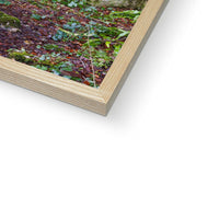 Woodwell Mystery Framed Print