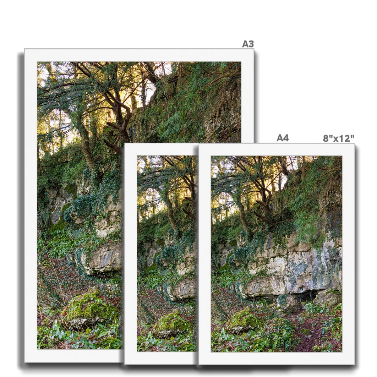 Woodwell Mystery Framed Print