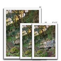 Woodwell Mystery Framed Print