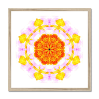 Creativity Mandala Budget Framed Poster