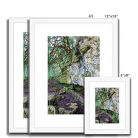 Yew guardian Framed & Mounted Print