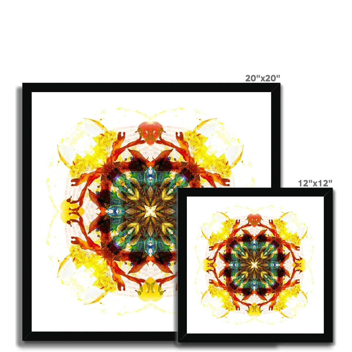 Earth Healing Budget Framed Poster
