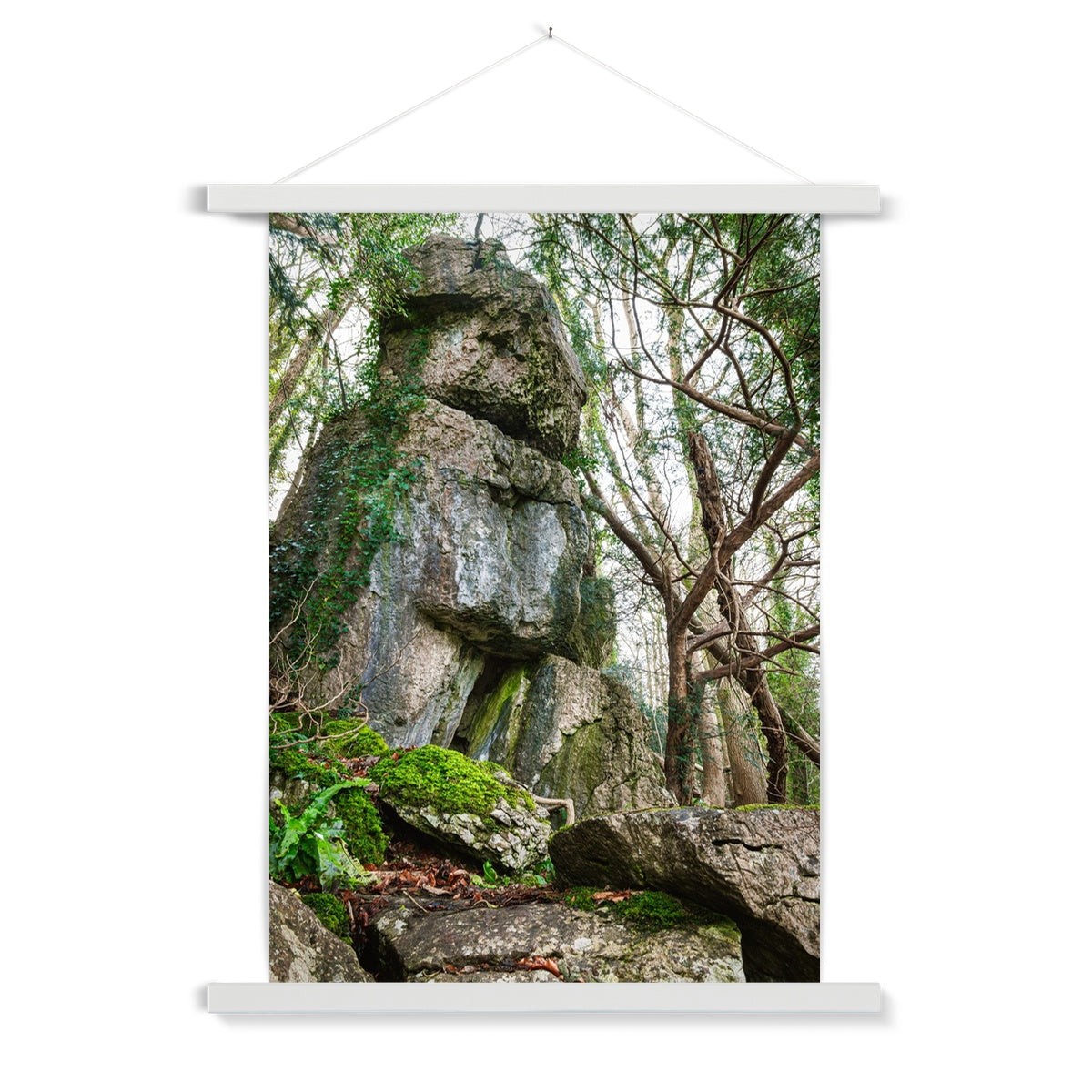 Rock Guardian Fine Art Print with Hanger