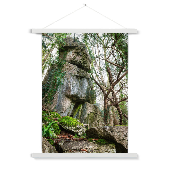 Rock Guardian Fine Art Print with Hanger