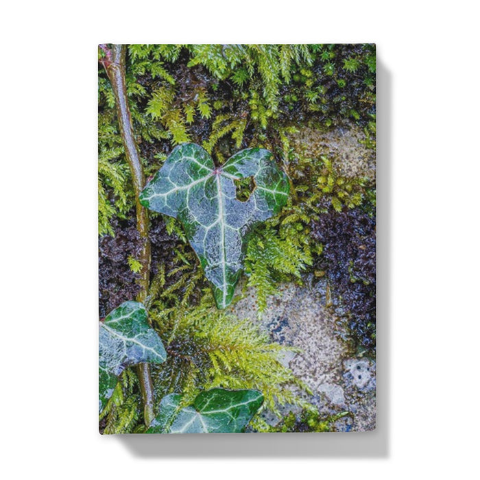 Ivy Clad Hardback Journal