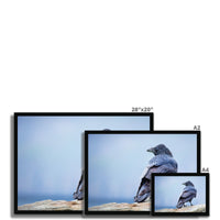 The Raven of Ireland Framed Print