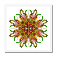 Bounty Mandala Budget Framed Poster