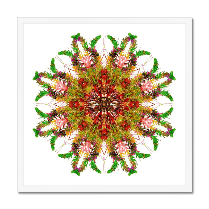 Bounty Mandala Budget Framed Poster